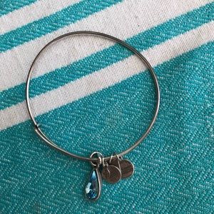Alex and Ani Living Water Charm Bangle